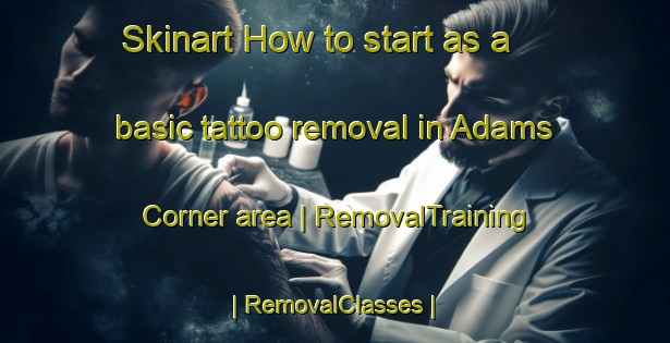 Skinart How to start as a basic tattoo removal in Adams Corner area | RemovalTraining | RemovalClasses | SkinartTraining-United States